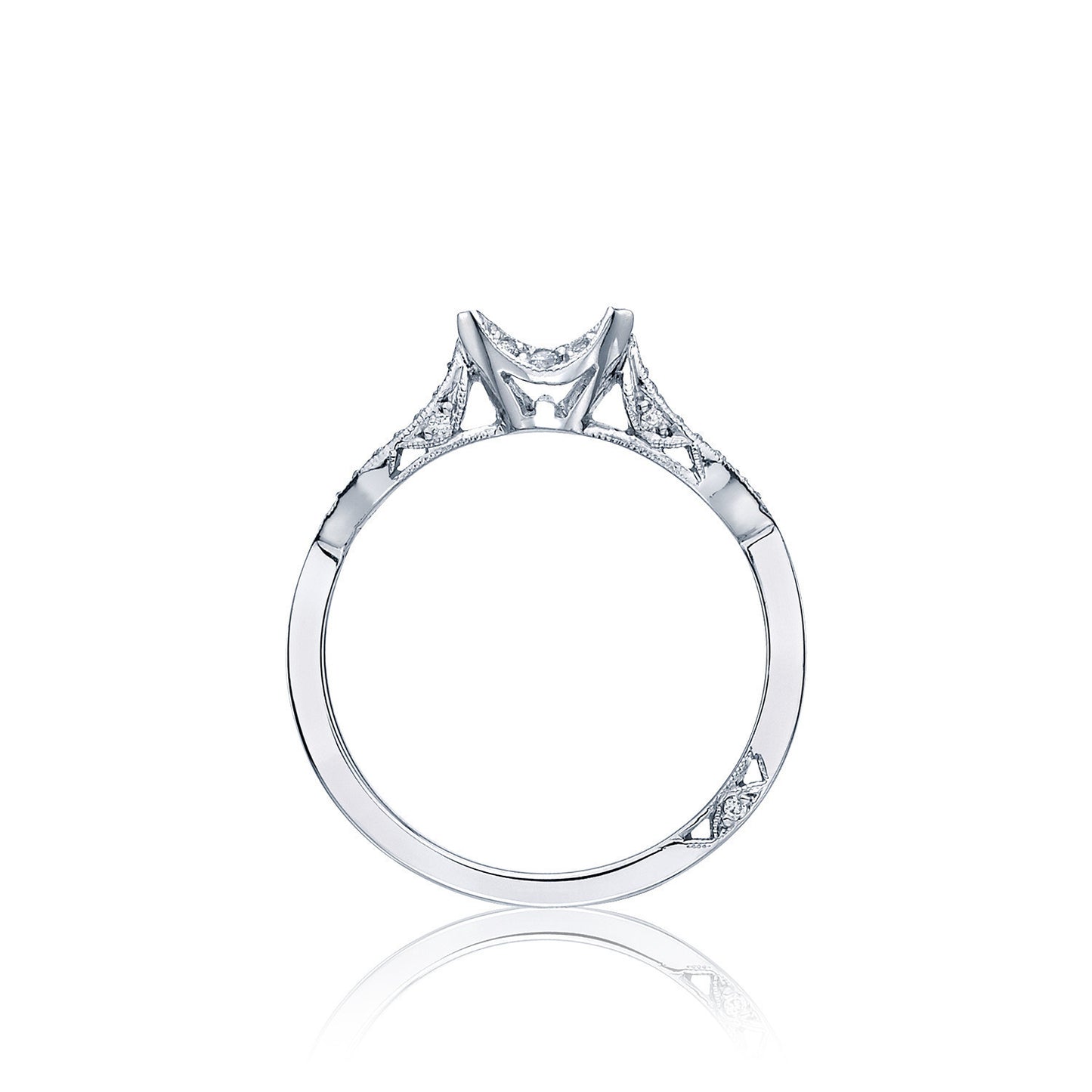 Ribbon Style # 2573 MD B