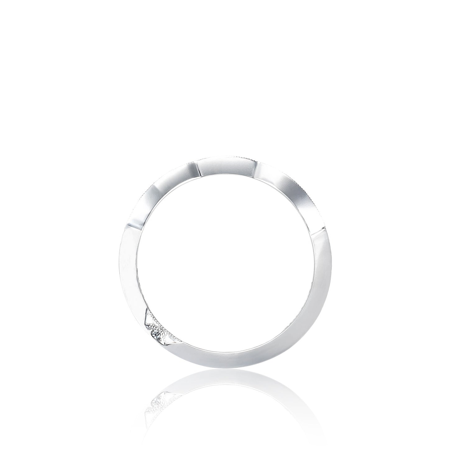 Ribbon Style # 2648 LG B